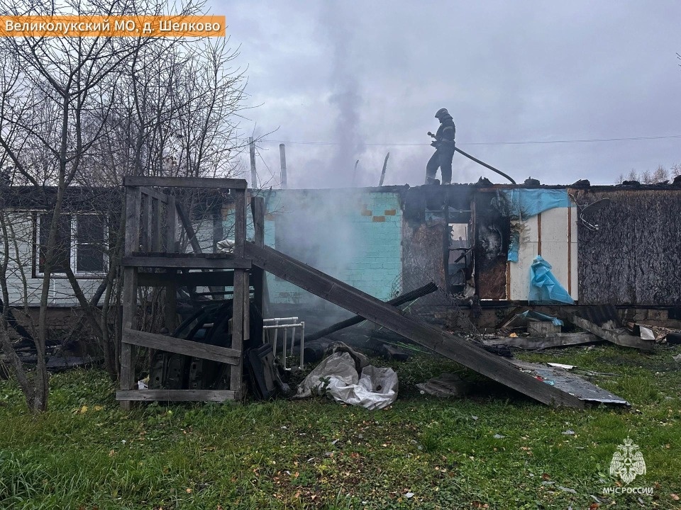 В великолукской деревне Шелково сгорел жилой дом