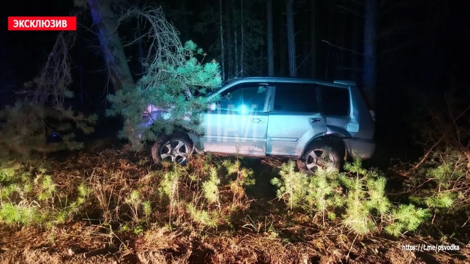Под Гдовом водитель врезался в дерево и ждал скорую в машине Под Гдовом водитель врезался в дерево и ждал скорую в машине
