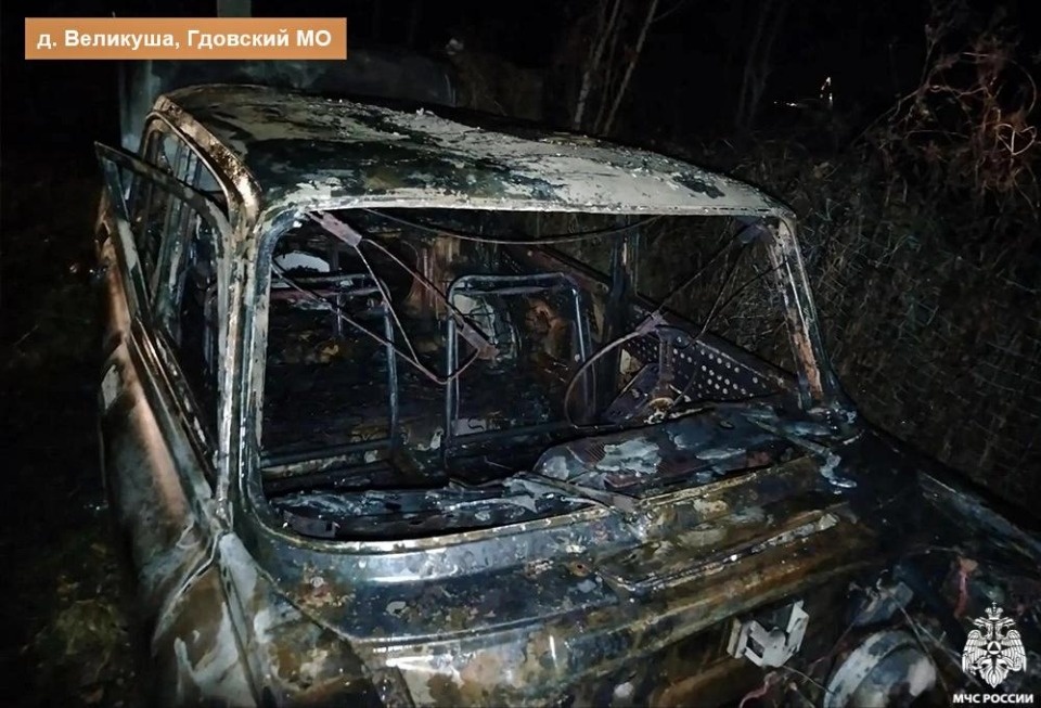 «Москвич» сгорел в Гдовском районе
