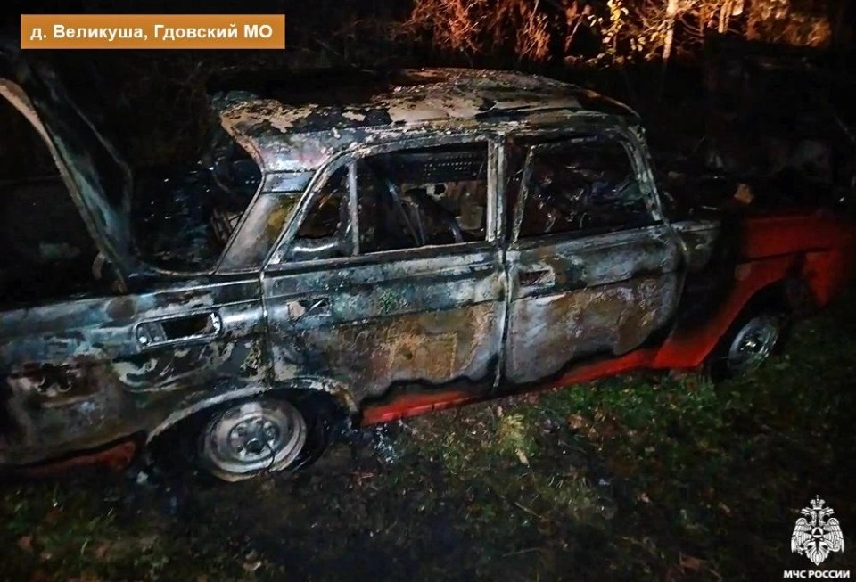 «Москвич» сгорел в Гдовском районе