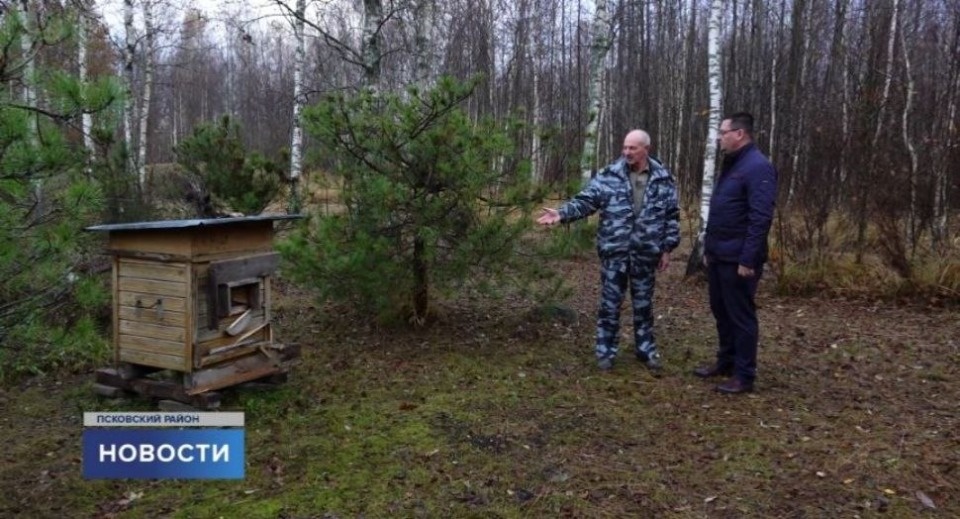 Мишка-сладкоежка: в Псковском районе медведь съел 13 кг меда и унес улей в лес